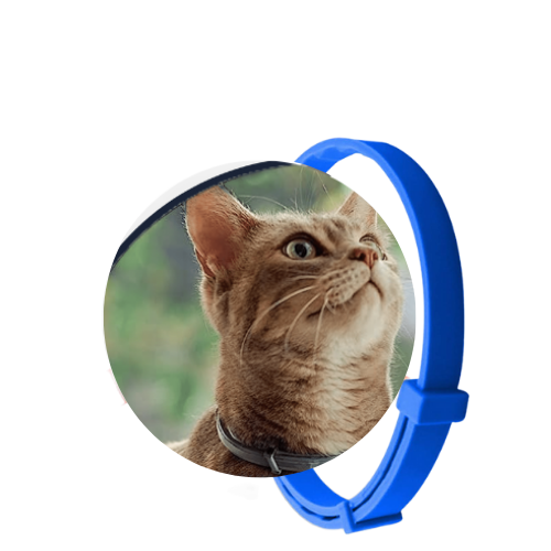 SafePet - Colar Anti Pulgas e Carrapatos