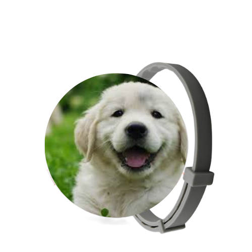 SafePet - Colar Anti Pulgas e Carrapatos