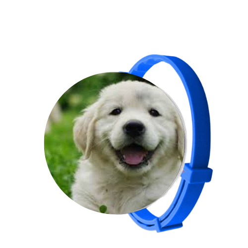 SafePet - Colar Anti Pulgas e Carrapatos