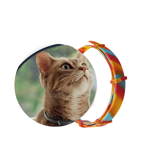 SafePet - Colar Anti Pulgas e Carrapatos