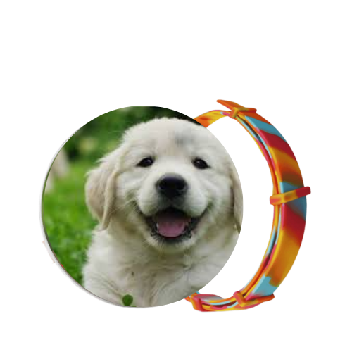 SafePet - Colar Anti Pulgas e Carrapatos