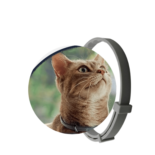 SafePet - Colar Anti Pulgas e Carrapatos